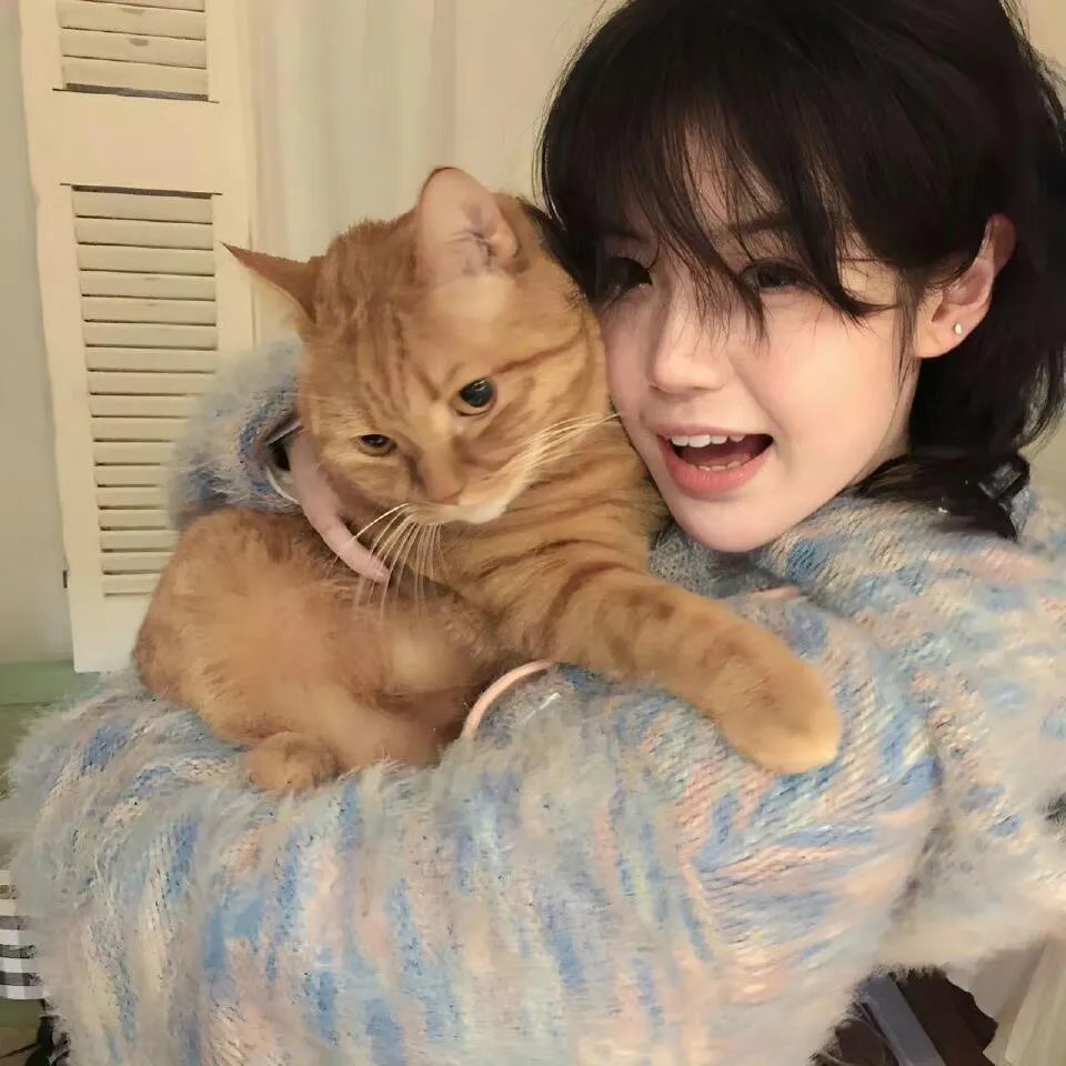 刺猬索尼克